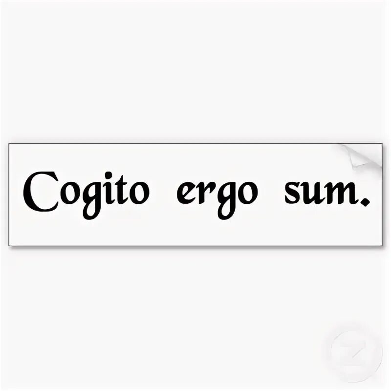 Эрго сум. Cogito Ergo sum тату. Cogito Ergo sum тату эскизы. Cogito Ergo sum тату на руке. Когито Эрго сум на латыни.