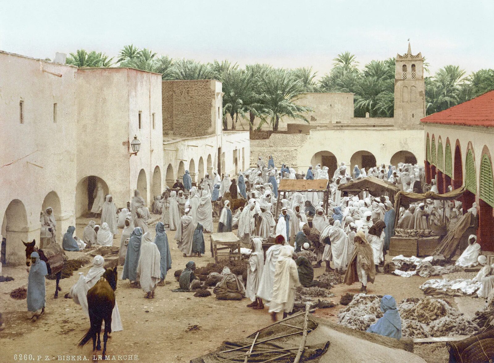 Колонии нового времени. Алжир 19 век. Алжир 19 ЕВК. Бискра Алжир. Тунис 19 век Франция колония.