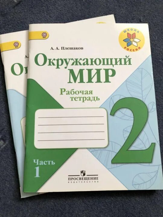 Печатная тетрадь 4 класс школа россии. Окружающий мир 2 кл рабочая тетрадь Плешакова школа России. Тетрадь окружающий мир 2 класс школа России. Рабочая тетрадь окружающий мир 2 класс 1 часть школа России. Рабочие тетради 2 класс окружающий мир школа России Плешакова.