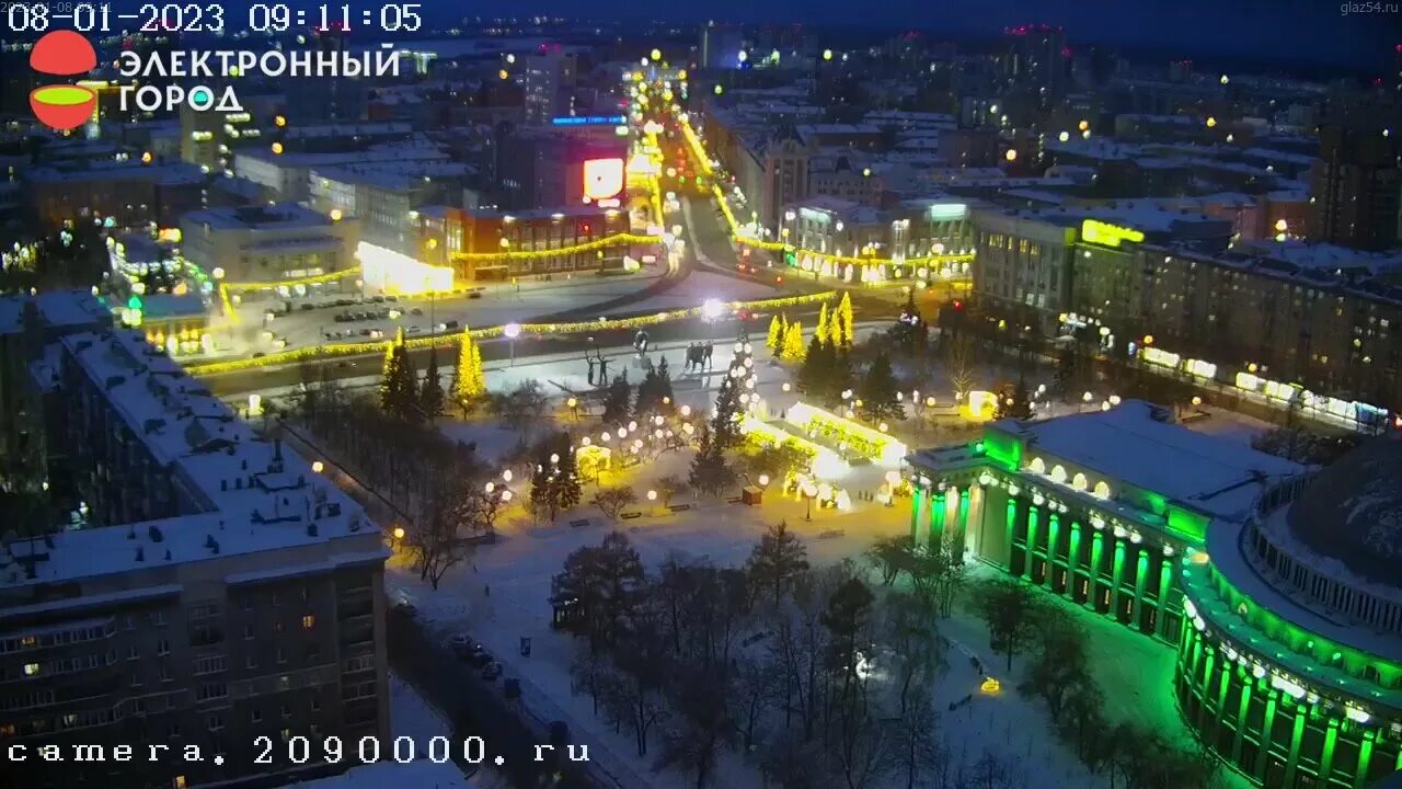 Елка на площади ленина воронеж 2022. Памятник ленину в рязани. Площадь ленина новосибирск 2023 новый год. Елка на площади ленина 2020 воронеж. Возложить цветы на красной площади.