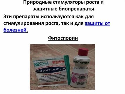 Биопрепараты это