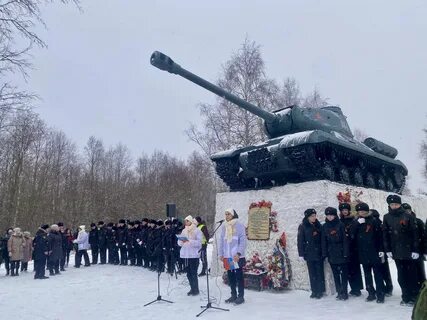 Освобождение гатчины