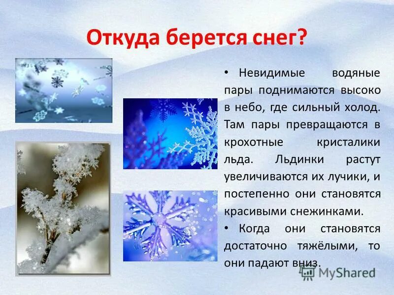 нарисовать 2 льдака видео. откуда берутся снег и лед. ледяная презентация. свойства льда. свойства воды льда и снега.