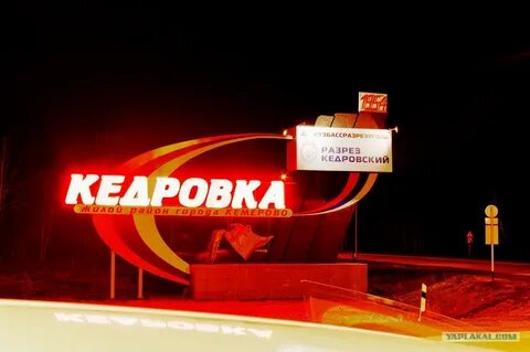 Кедровка кемеровская