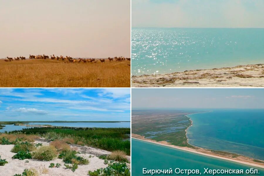 Острів Бірючий - перлина Азовського моря