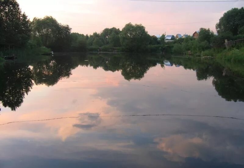 Преображенский пруд в черкизово. Пруд рязановский стерлитамак. Белый карп новодрожжино. Староникольский пруд в щербинке. Староникольский пруд в щербинке.