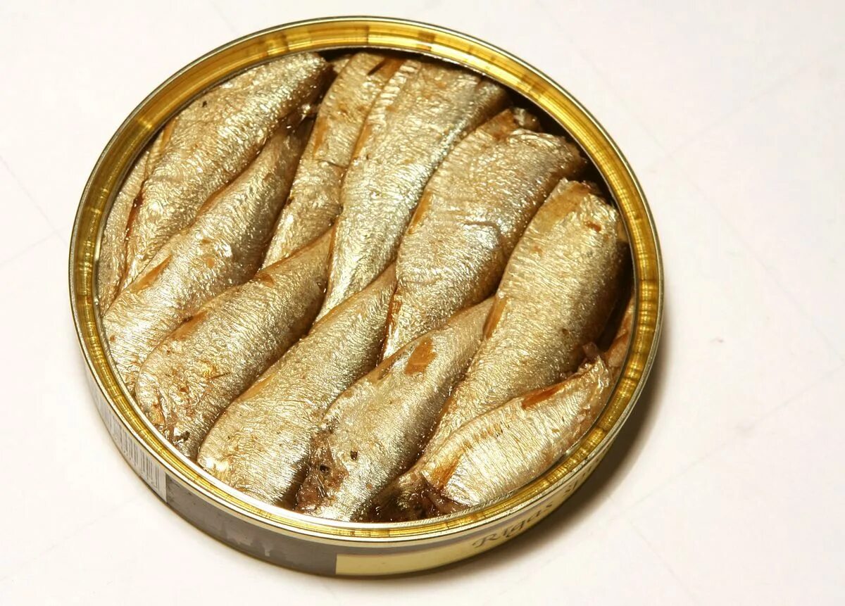 Как выглядит шпрота