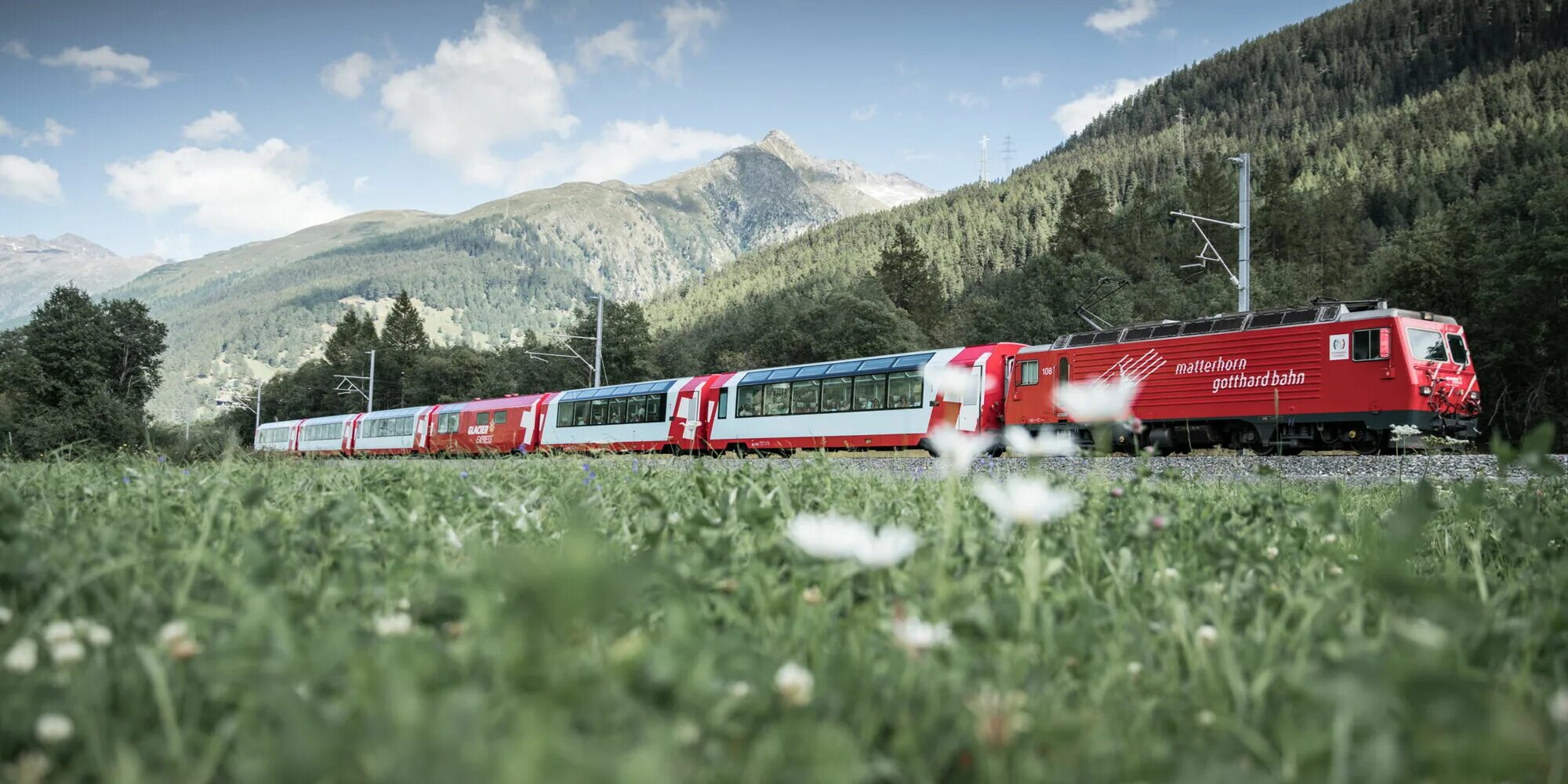 Return train