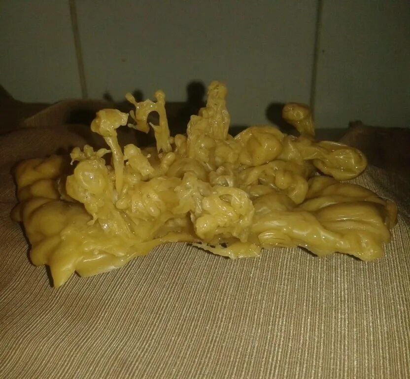 Фигуры на отливках восковых. Черепаха на воске. Черепаха на воске. Черепаха на воске. Черепаха на воске.