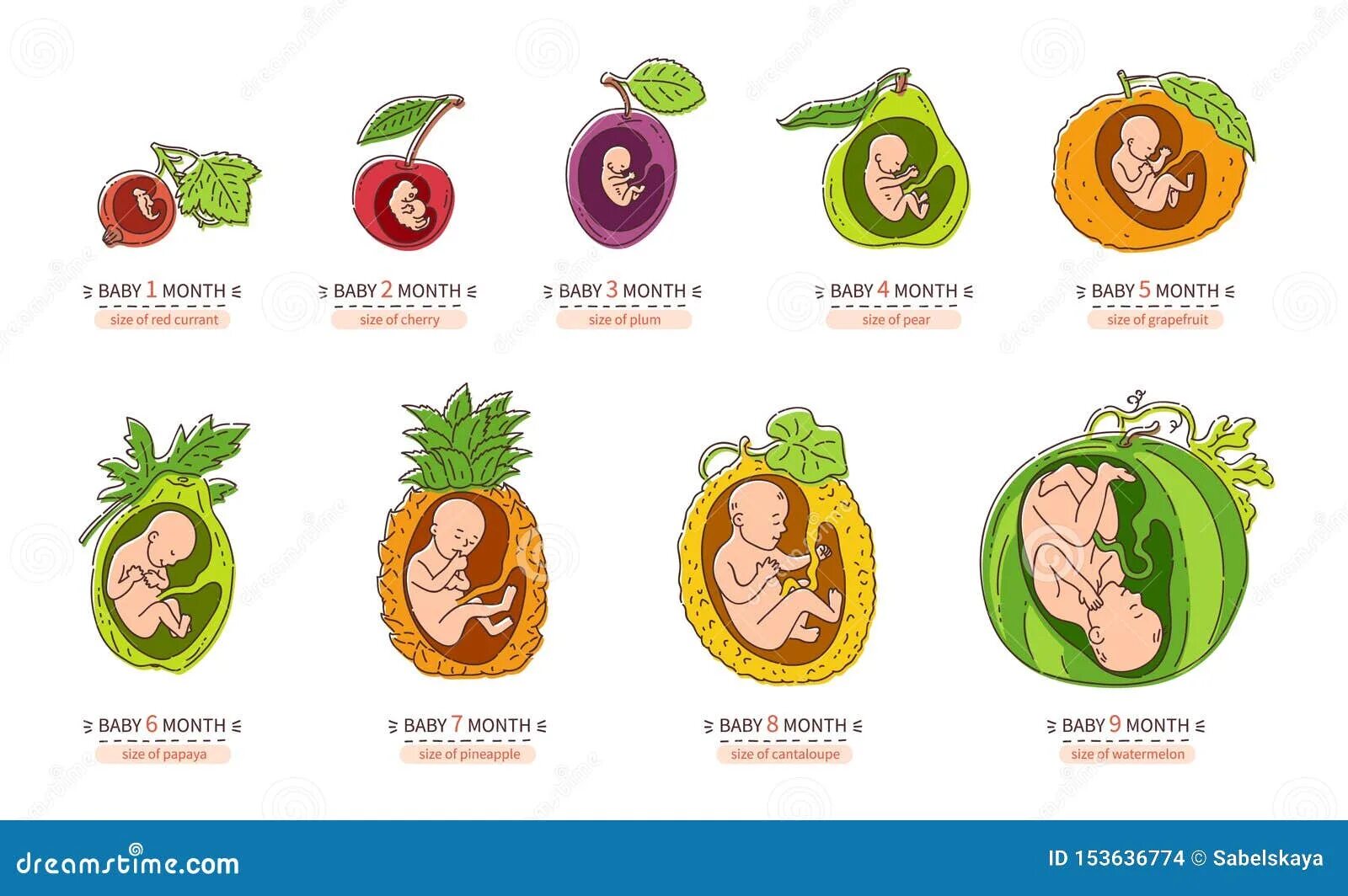 Card Fetus Stock Illustrations - 323 Card Fetus Stock Illustrations, Vectors & C