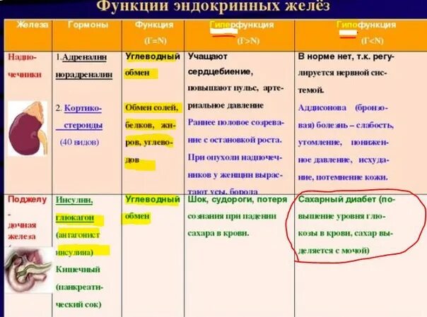 Железы гормоны гиперфункция гипофункция. Таблица по гормонам эндокринной системы. Железа внутренней секреции гормон гиперфункция гипофункция. Таблица болезней эндокринной системы 8 класс. Таблица гиперфункция и гипофункция