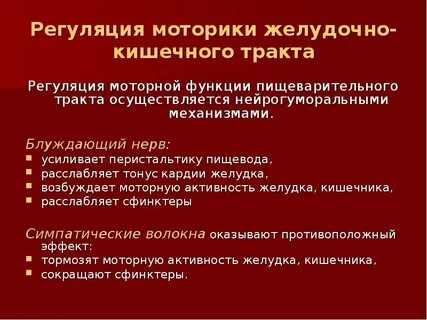 Регуляция кишечника