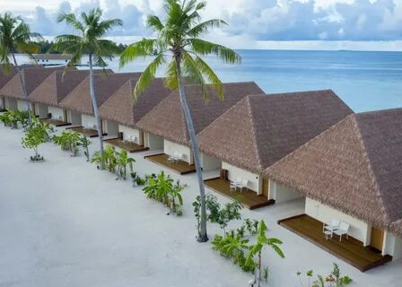 Cinnamon velifushi 5