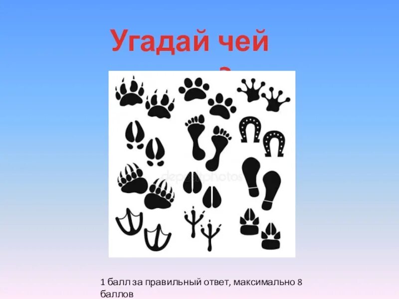 Угадай где чей. Чьи следы?. Отгадать следы животных. Следы животных с ответами. Угадай чьи следы.