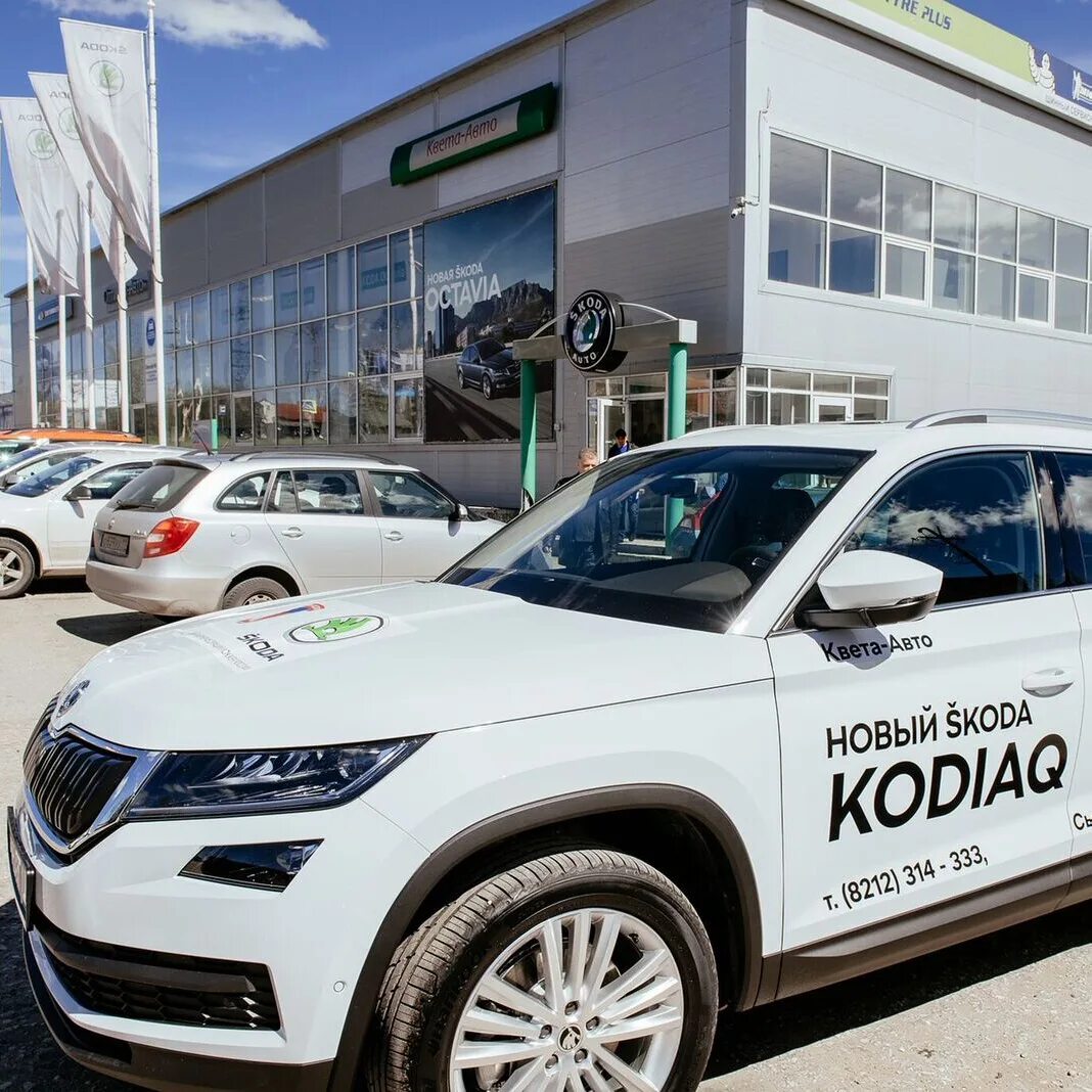 Автосалон драйв. Тест драйв в автосалоне. квета авто сыктывкар. шкода сыктывкар. квета-авто сыктывкар шкода.