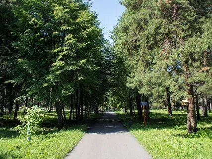 Парк прокопьевск