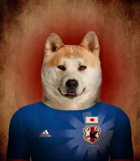 Football dog