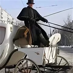 Кучера 5 букв
