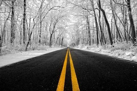 Lonely road