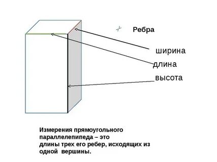 Ткани роста в длину и толщину