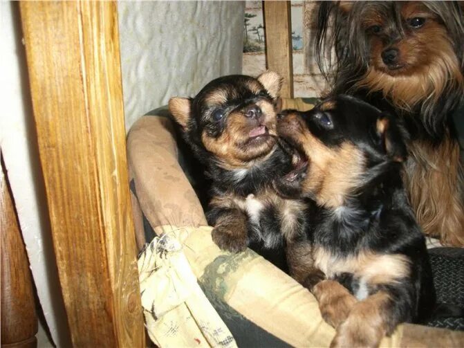 Неактивно