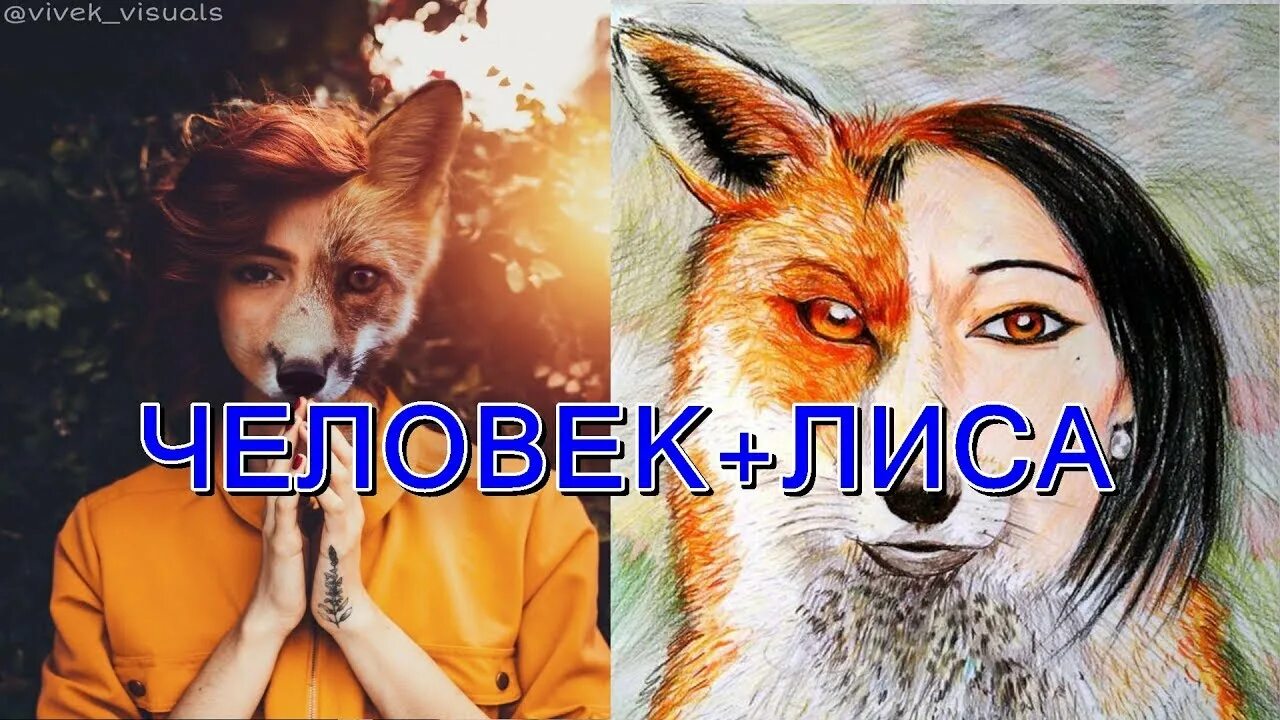 Мир наизнанку человек лис. Мир наизнанку человек лис