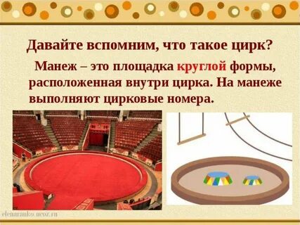 Задачи цирка