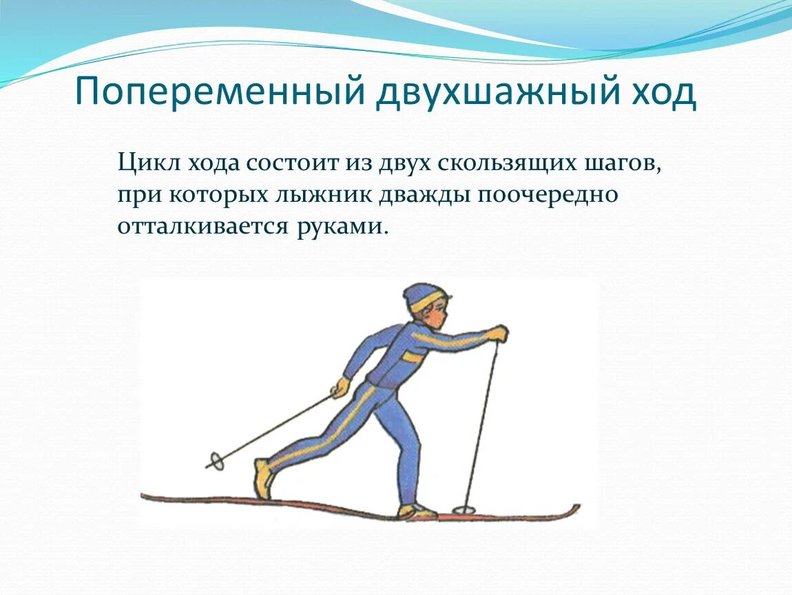 Как должен поступить лыжник. Попеременный двухшажный ход на лыжах. Попеременный двухшажный ход лыжник. Попеременный двухшажный ход цикл хода. Лыжные ходы попеременный двухшажный ход.