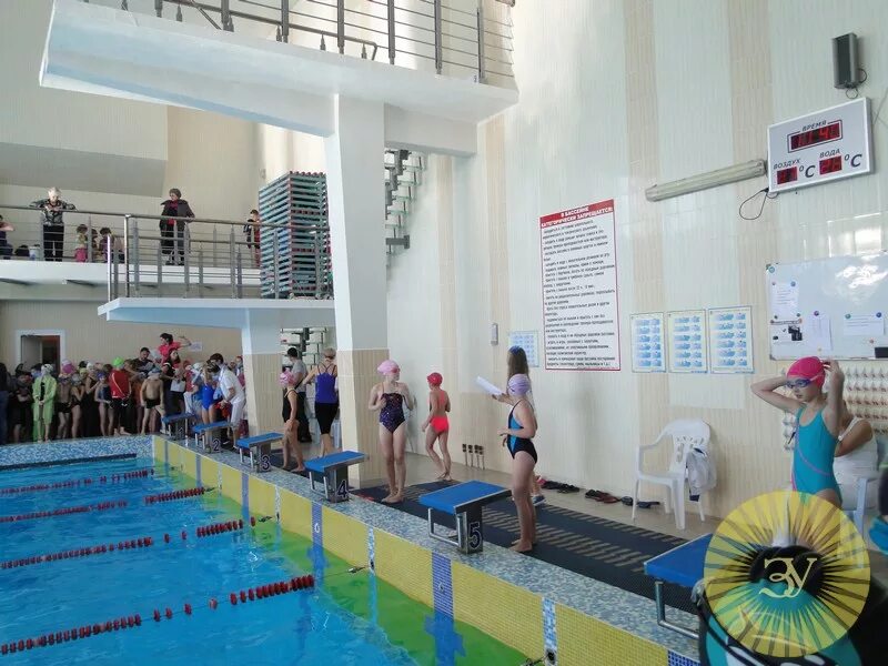 полет арсеньев бассейн дюсш. арсеньев приморский край бассейн. бассейн арсеньев. бассейн арсеньев. арсеньев полёт бассейн.