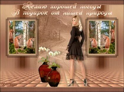 Погода желает