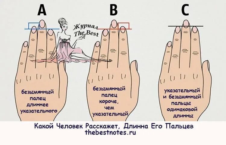 Как узнать есть у человека. Пальцы на руках значение. Длина пальцев рук значение. Определить человека по пальцам руки. Характер человека по ладони и пальцам.