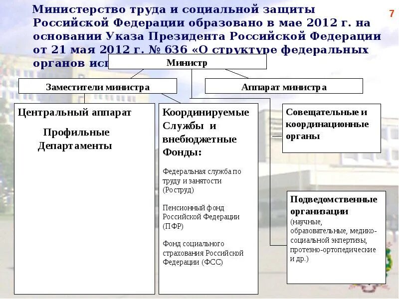 Подведомственные учреждения социальной защиты. Структура Министерства социальной защиты населения РФ. Структура Министерства труда и социальной защиты населения РФ схема. Министерство труда РФ организационная структура. Министерство труда и социальной защиты РФ структура функции и задачи.