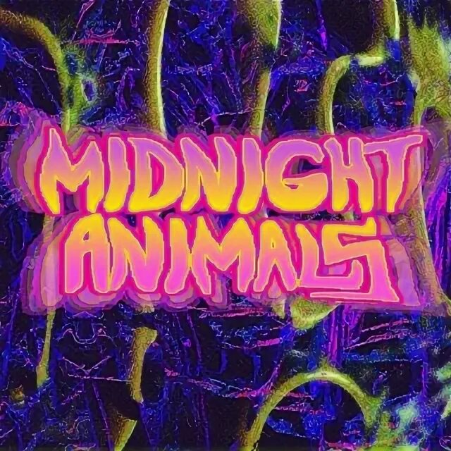 Midnight animal. Миднайт Энимал.