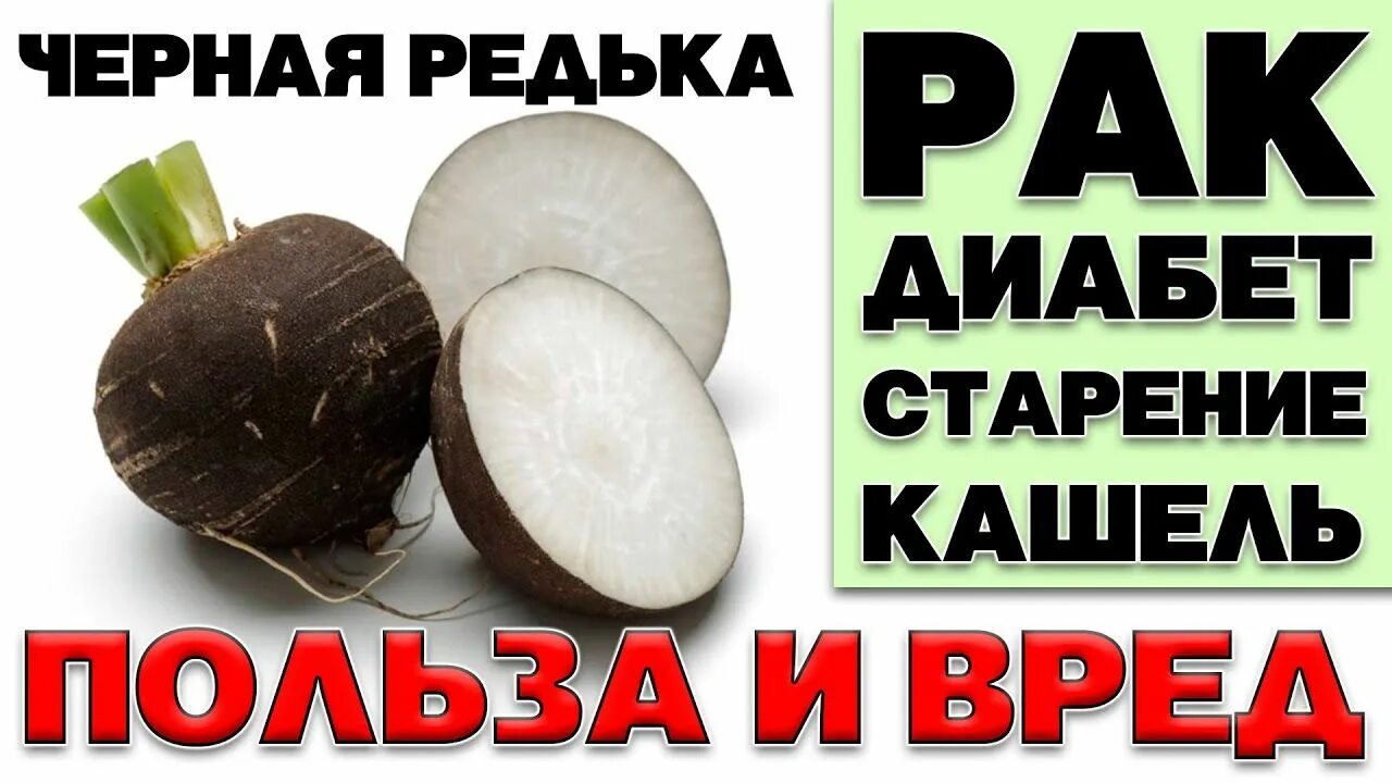 Хочется редьки