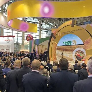 Выставка золотая