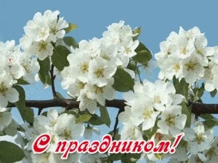 Какое завтра мая