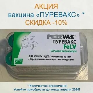 Пуревакс для кошек отзывы