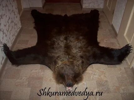 Куда деть легендарную шкуру