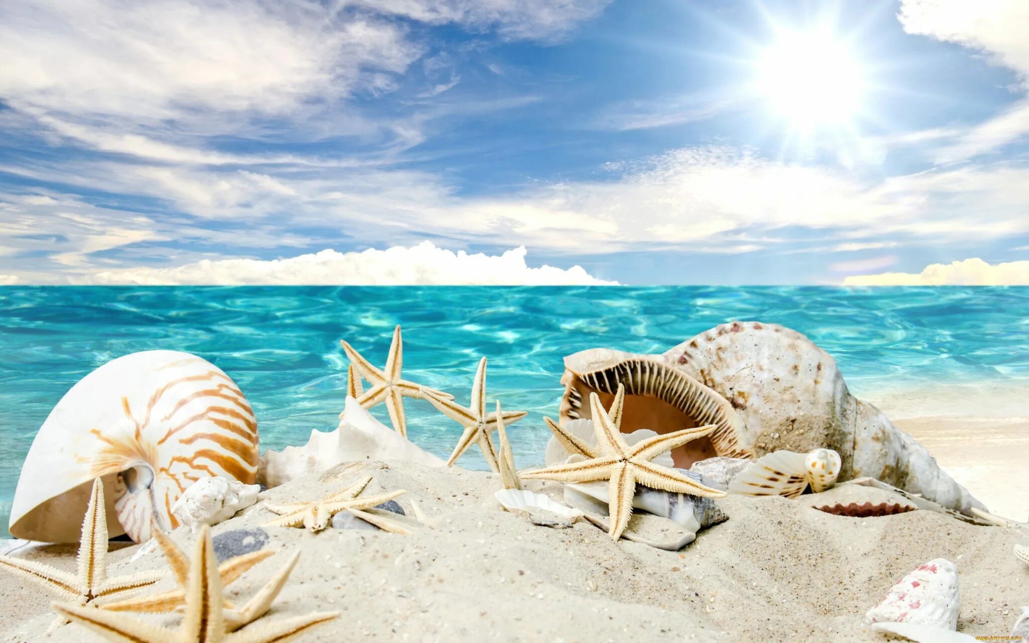 Море солнце пляж. Море солнце песок. Лето море пляж. Лето море солнце пляж.