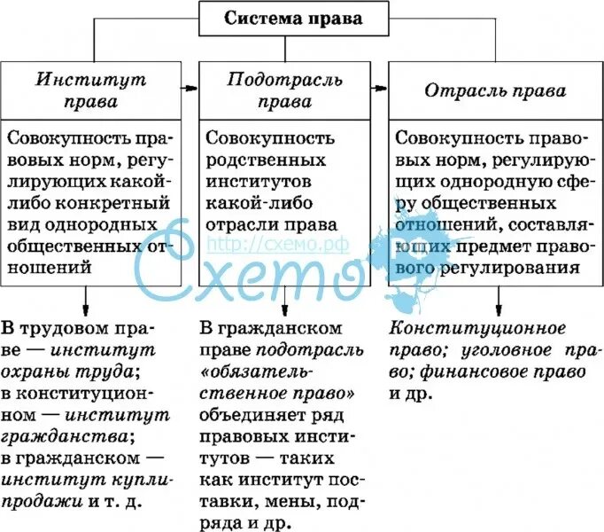 Заполните схему и объясните различия