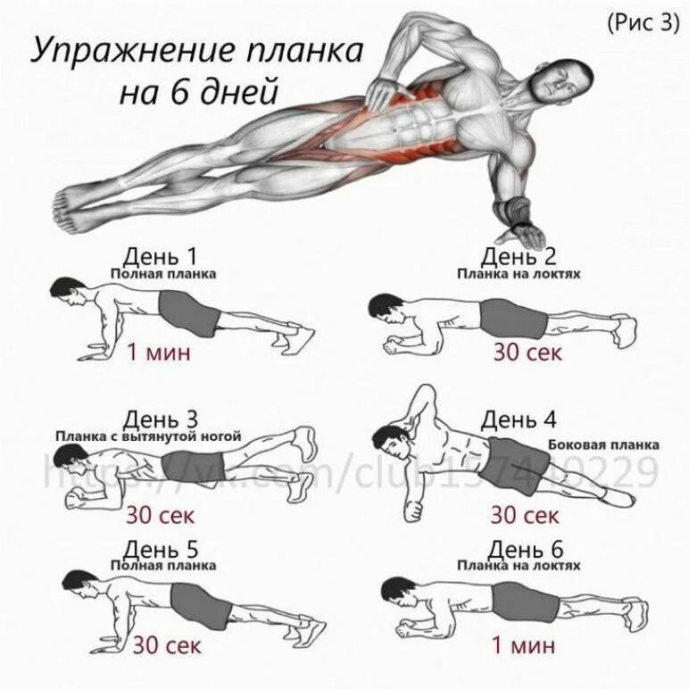 Польза планки для мужчин. Планка 5 минутный комплекс для мужчин. Схема выполнения планки для похудения. Стойка планка для похудения для начинающих. Схема тренировок планки.