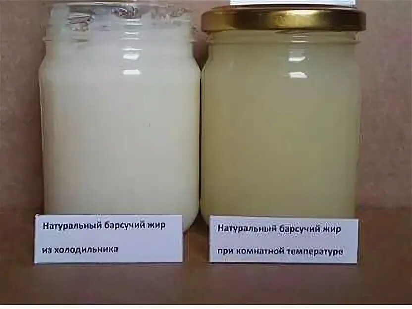 Барсучий жир при пневмонии у взрослых как. Барсучий жир 200гр. барсучий жир 100 гр. барсучий жир топленый. . барсучий жир 100 г от охотника.
