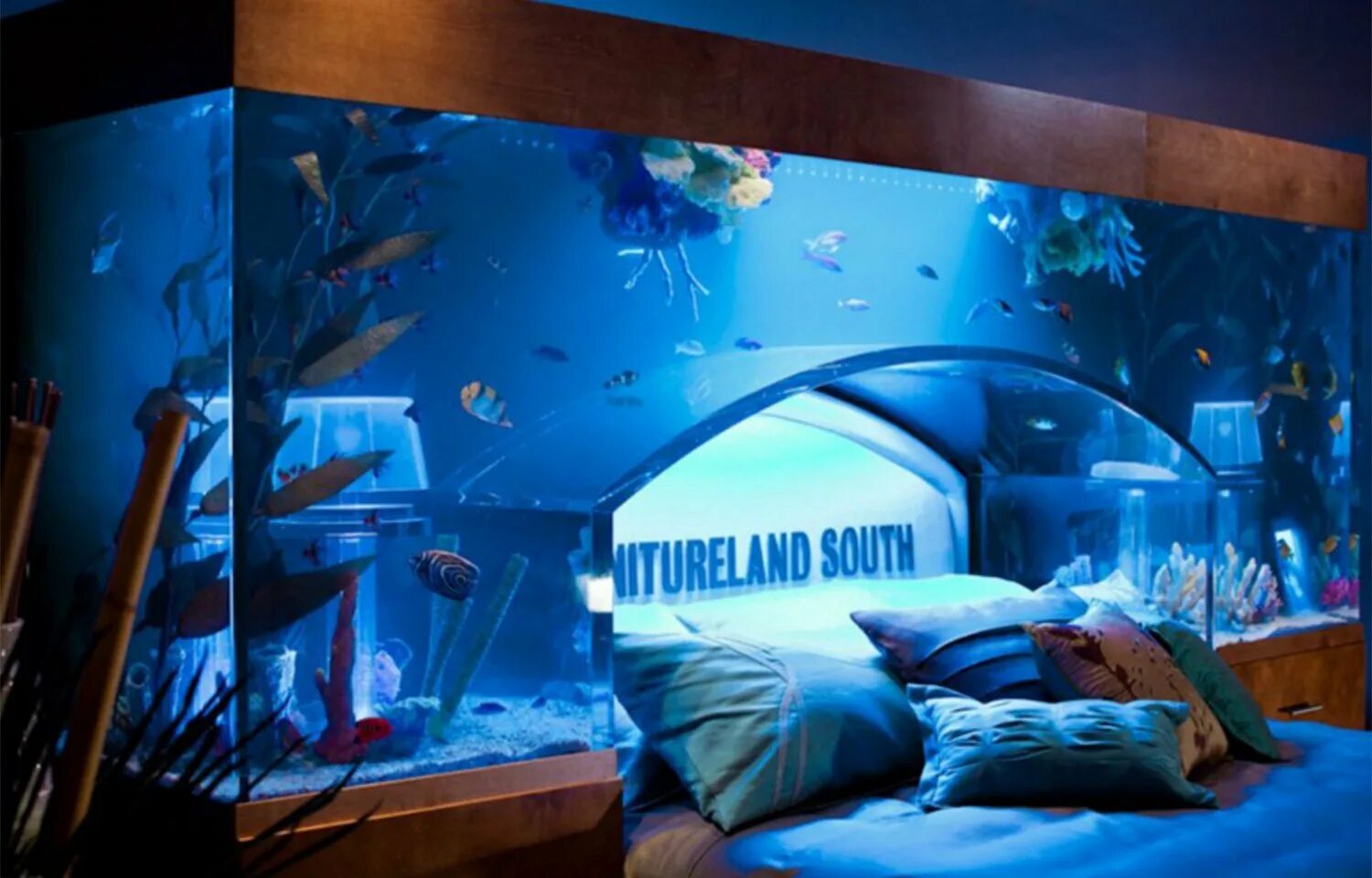 Снится аквариум с рыбками женщине. Кровать аквариум. Аквариум в спальне. Необычные аквариумы. Необычные аквариумы в интерьере.