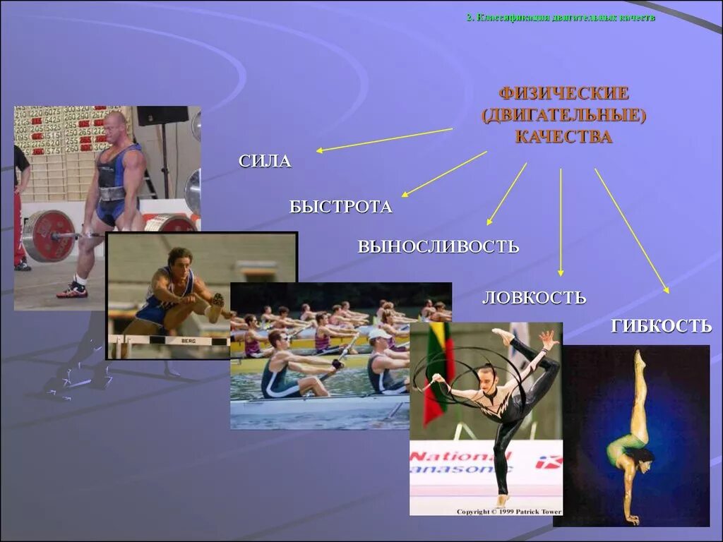 Сила выносливость ловкость гибкость быстрота это. Физические качества. Физические качества (сила, ловкость, гибкость). Двигательные кечтсвоа. Двигательные качества спортсмена