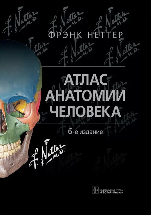 Фрэнк Неттер атлас анатомии человека 6 издание. Атлас по анатомии человека Неттер. Фрэнк Неттер атлас анатомии человека. Фрэнк Неттер атлас анатомии 7 издание.