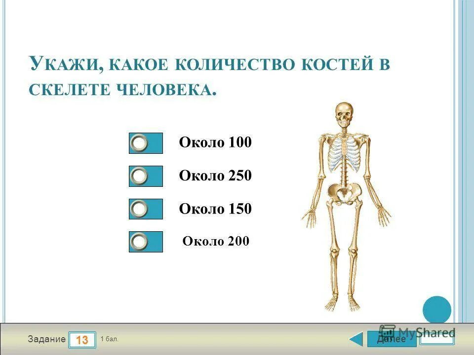 Сколько костей у человека всего. Кол-во костей в скелете человека. Сердько костей в скелете. Сколько всего костей у чнлрвекм.