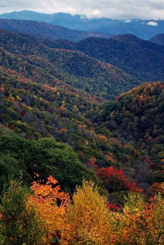 Национальный парк грейт-смоки-маунтинс. Грейт смоки маунтинс. Теннесси грейт смоки маунтинс. Национальный парк грейт-смоки-маунтинс. Теннесси грейт смоки маунтинс.
