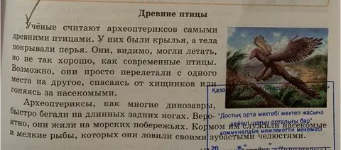 Составь текст используя слова