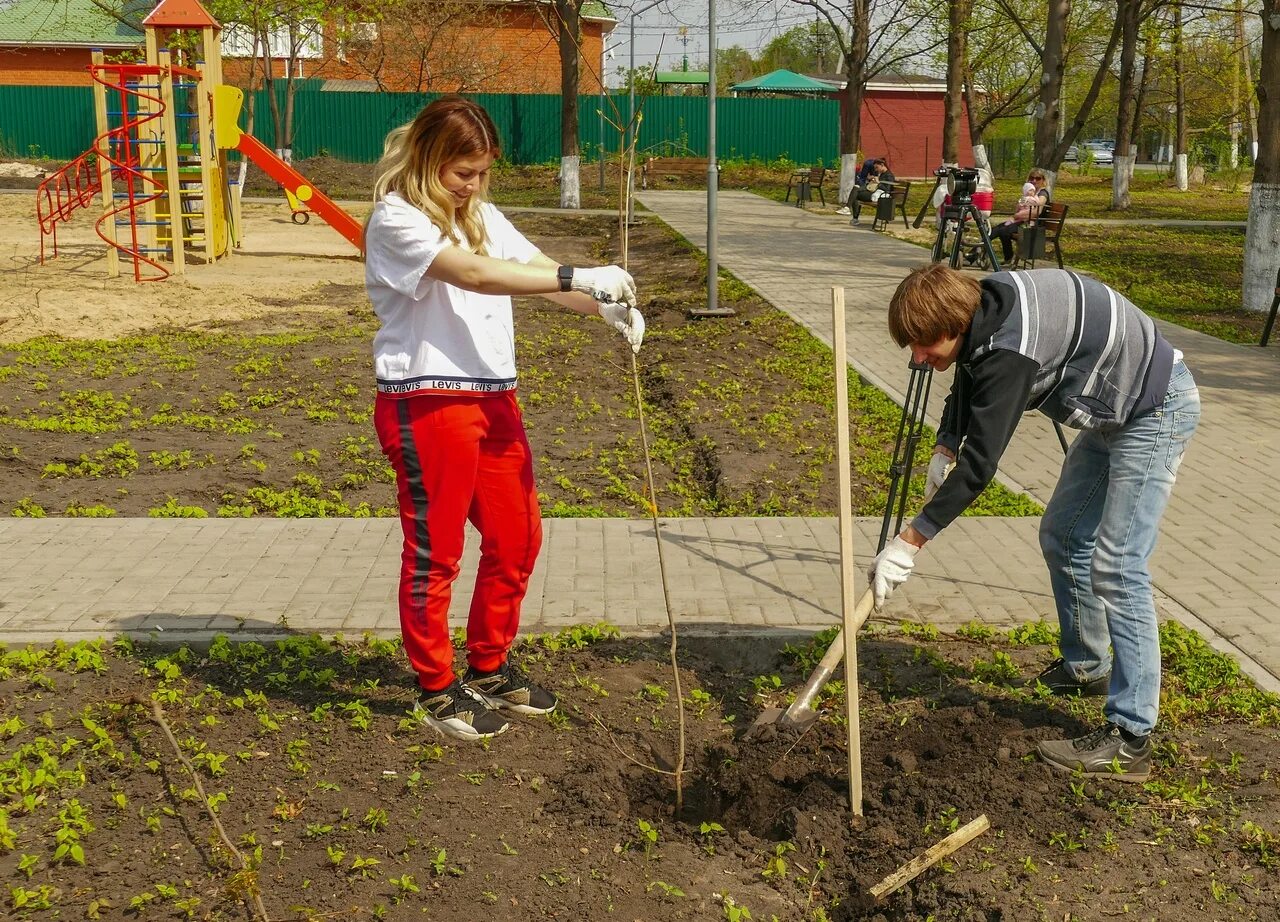 Субботник по благоустройству территории. Весенний месячник по благоустройству. борисоглебск субботник. субботник луга. посадка деревьев в ряд.