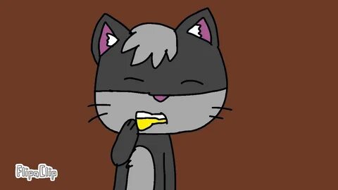 Кот алекс